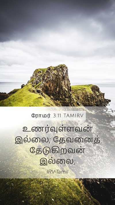 ரோமர் 3:11 TAMIRV Bible Verse Image
