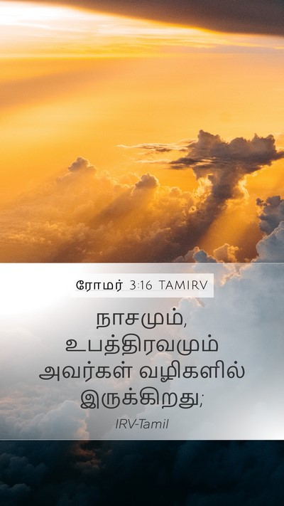 ரோமர் 3:16 TAMIRV Bible Verse Image