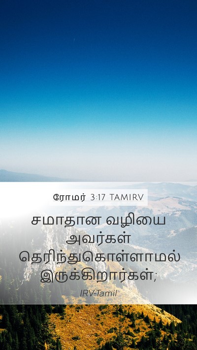 ரோமர் 3:17 TAMIRV Bible Verse Image