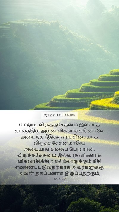 ரோமர் 4:11 TAMIRV Bible Verse Image