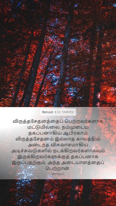 ரோமர் 4:12 TAMIRV Bible Verse Image