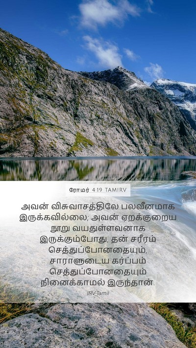 ரோமர் 4:19 TAMIRV Bible Verse Image