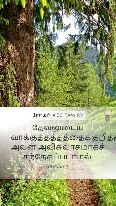 ரோமர் 4:20 TAMIRV Bible Verse Image