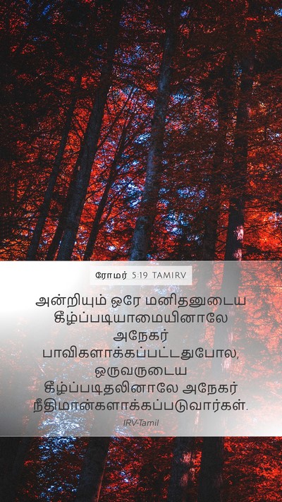 ரோமர் 5:19 TAMIRV Bible Verse Image