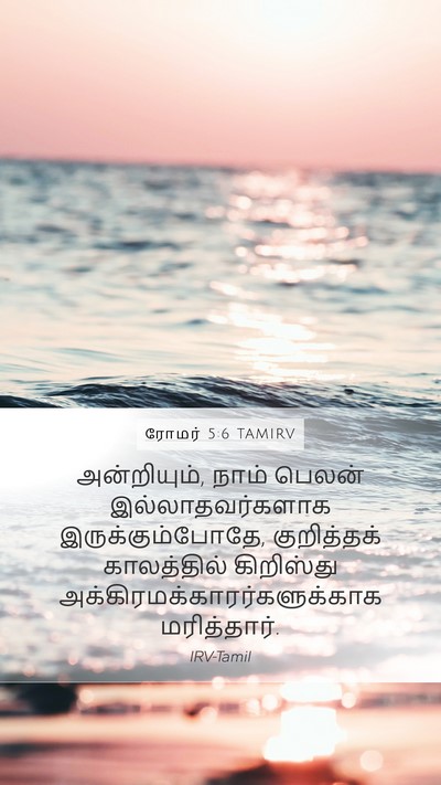 ரோமர் 5:6 TAMIRV Mobile Phone Wallpaper - அன்றியும், நாம் - Mobile Bible Verse Wallpaper
