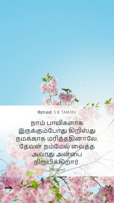 ரோமர் 5:8 TAMIRV Bible Verse Image