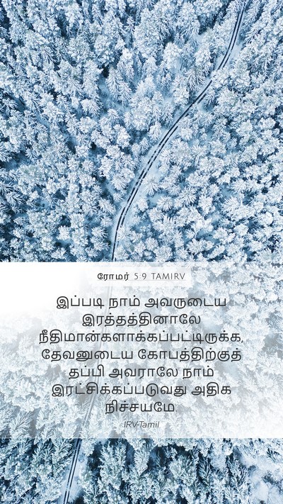 ரோமர் 5:9 TAMIRV Bible Verse Image