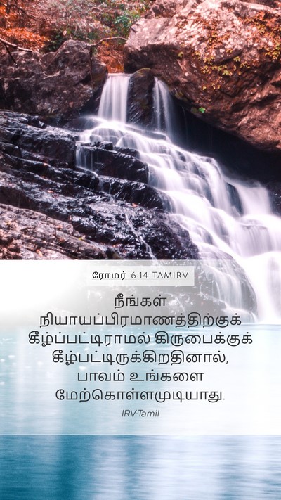 ரோமர் 6:14 TAMIRV Bible Verse Image