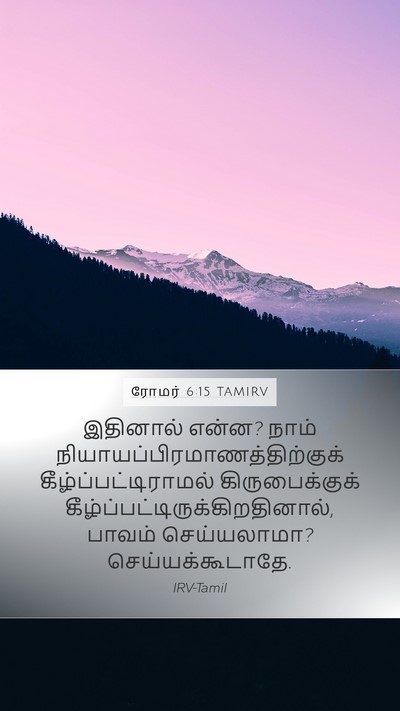 ரோமர் 6:15 TAMIRV Bible Verse Image
