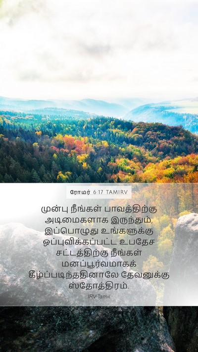 ரோமர் 6:17 TAMIRV Bible Verse Image