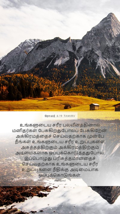 ரோமர் 6:19 TAMIRV Bible Verse Image