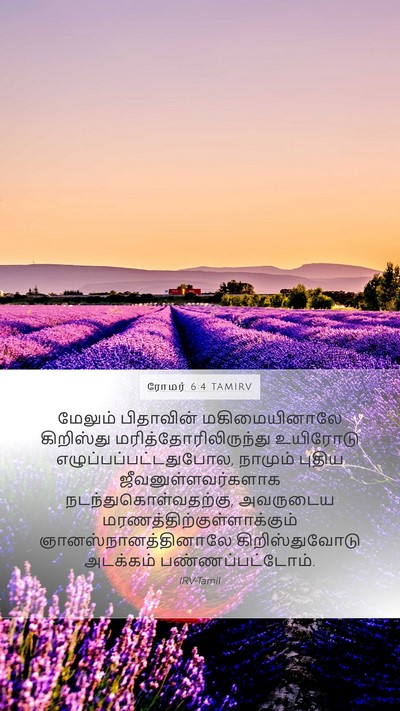 ரோமர் 6:4 TAMIRV Bible Verse Image