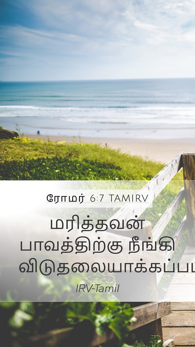 ரோமர் 6:7 TAMIRV Bible Verse Image