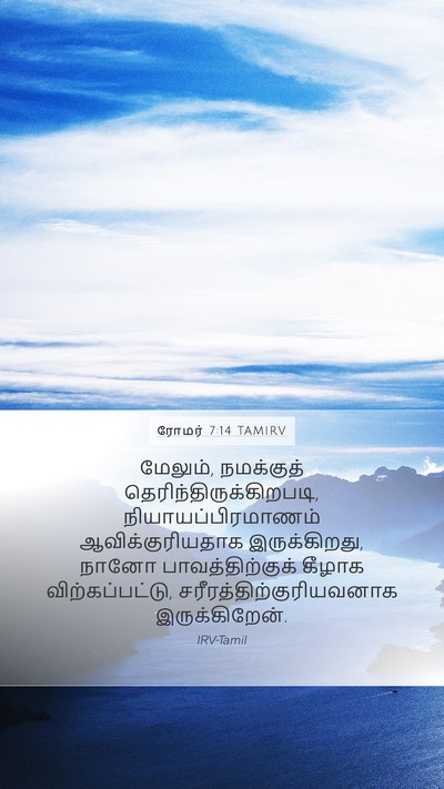 ரோமர் 7:14 TAMIRV Bible Verse Image