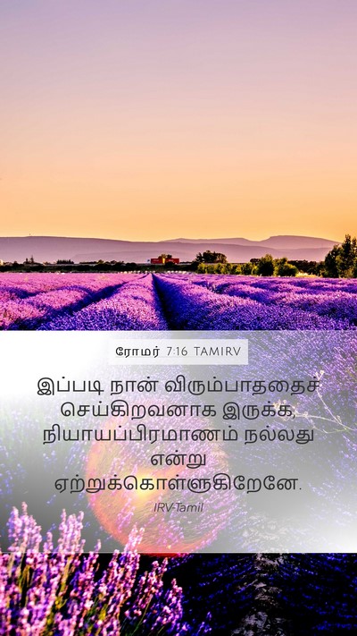 ரோமர் 7:16 TAMIRV Bible Verse Image