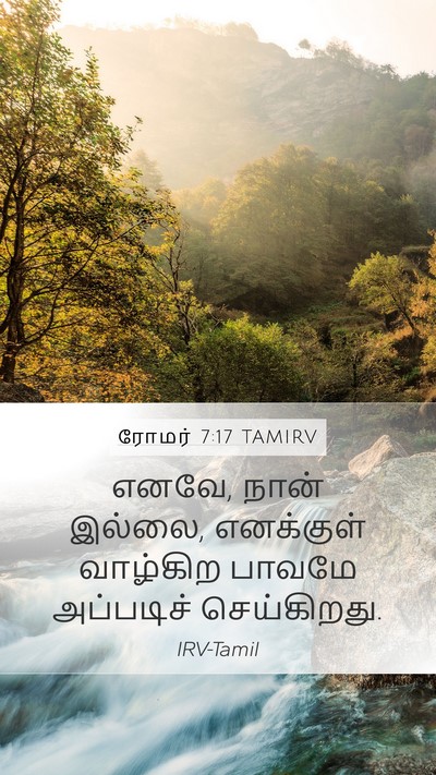 ரோமர் 7:17 TAMIRV Bible Verse Image