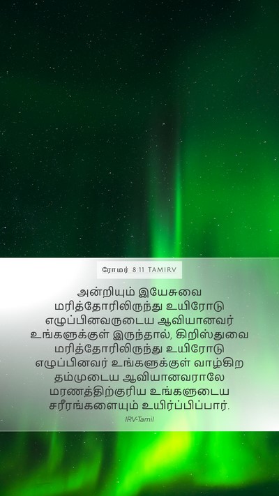 ரோமர் 8:11 TAMIRV Bible Verse Image