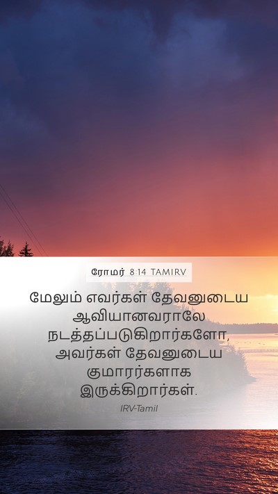 ரோமர் 8:14 TAMIRV Bible Verse Image