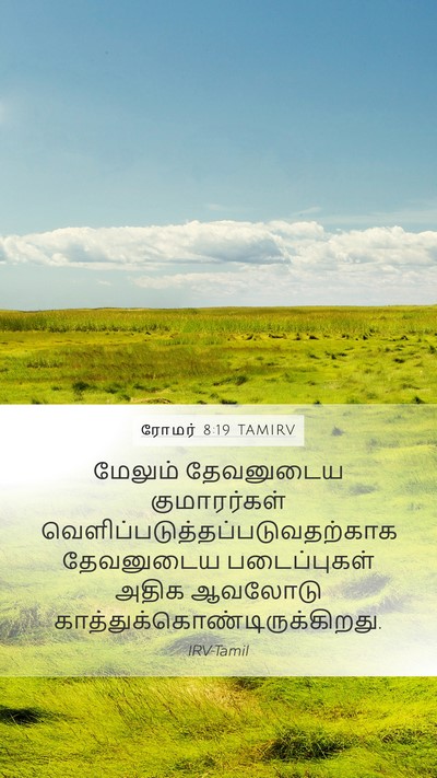 ரோமர் 8:19 TAMIRV Bible Verse Image