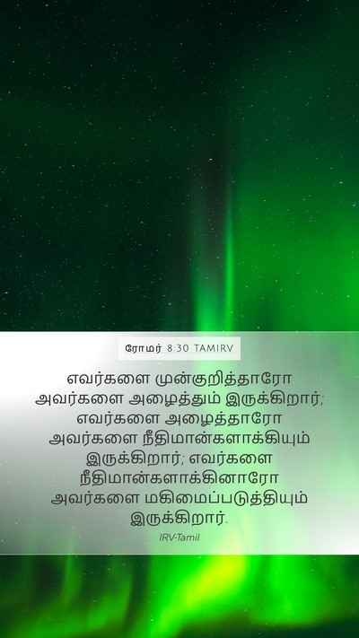 ரோமர் 8:30 TAMIRV Bible Verse Image