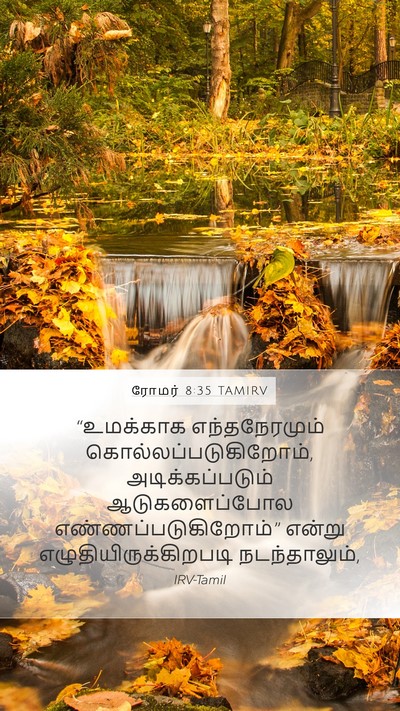 ரோமர் 8:35 TAMIRV Bible Verse Image
