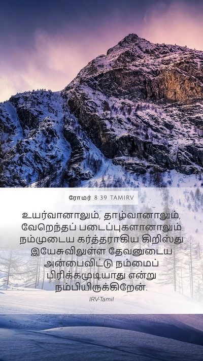 ரோமர் 8:39 TAMIRV Bible Verse Image
