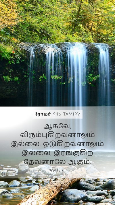 ரோமர் 9:16 TAMIRV Bible Verse Image