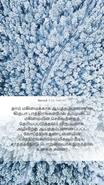 ரோமர் 9:23 TAMIRV Bible Verse Image