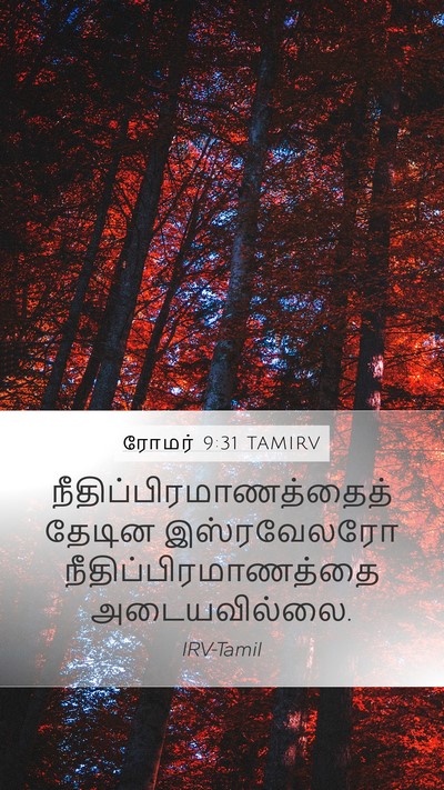 ரோமர் 9:31 TAMIRV Bible Verse Image