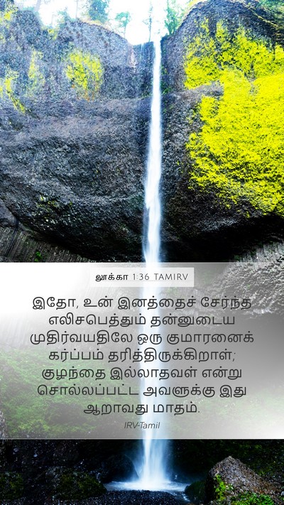 லூக்கா 1:36 TAMIRV Bible Verse Image