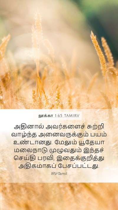 லூக்கா 1:65 TAMIRV Bible Verse Image