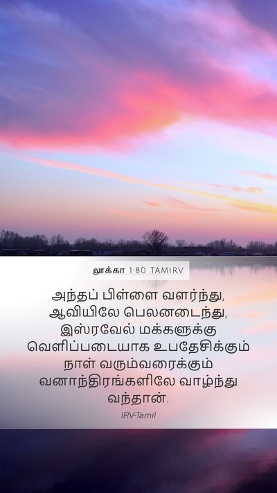 லூக்கா 1:80 TAMIRV Bible Verse Image