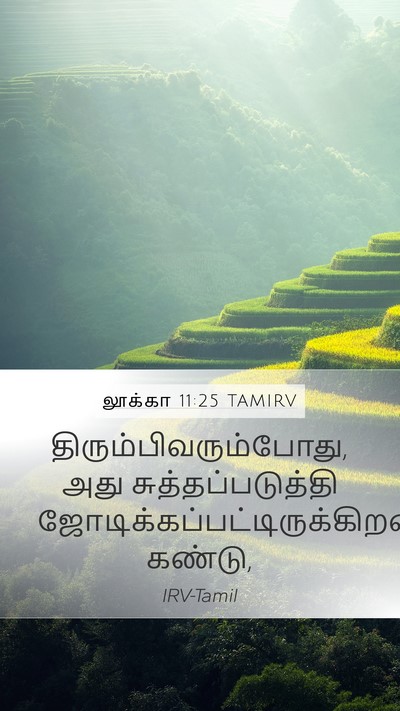 லூக்கா 11:25 TAMIRV Mobile Phone Wallpaper -  - Mobile Bible Verse Wallpaper