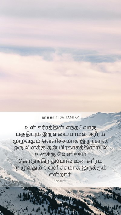 லூக்கா 11:36 TAMIRV Mobile Phone Wallpaper - உன் சரீரத்தின் - Mobile Bible Verse Wallpaper
