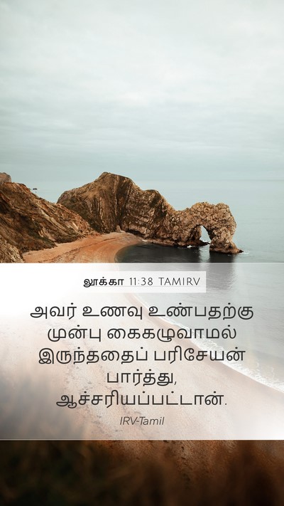 லூக்கா 11:38 TAMIRV Bible Verse Image