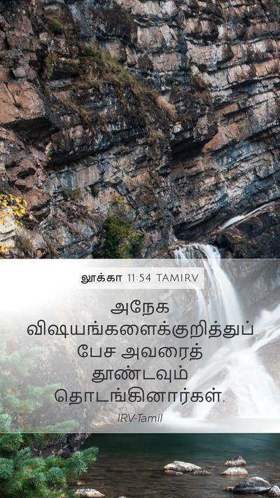 லூக்கா 11:54 TAMIRV Bible Verse Image