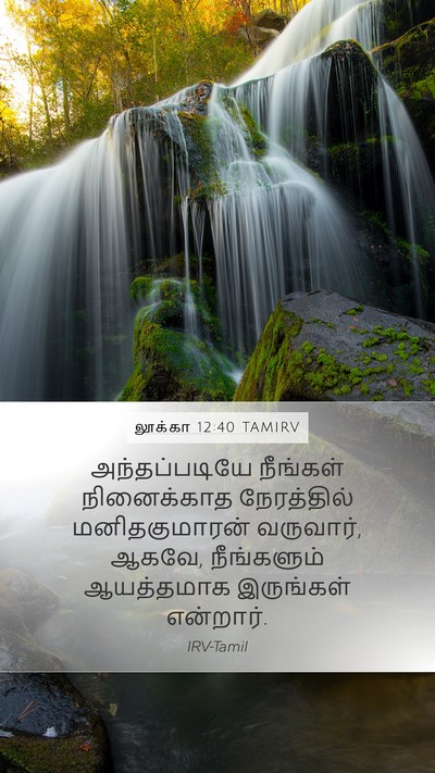 லூக்கா 12:40 TAMIRV Bible Verse Image