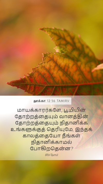 லூக்கா 12:56 TAMIRV Bible Verse Image
