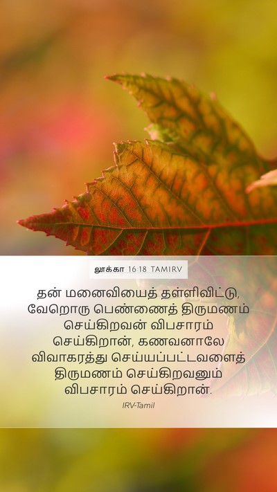 லூக்கா 16:18 TAMIRV Bible Verse Image