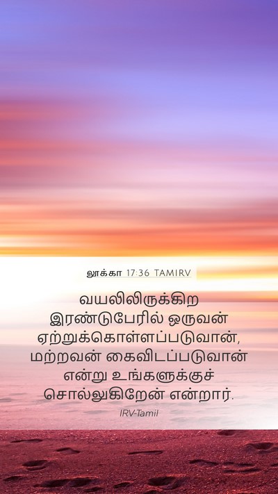 லூக்கா 17:36 TAMIRV Mobile Phone Wallpaper - வயலிலிருக்கிற - Mobile Bible Verse Wallpaper