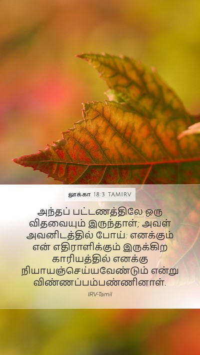 லூக்கா 18:3 TAMIRV Mobile Phone Wallpaper - அந்தப் - Mobile Bible Verse Wallpaper