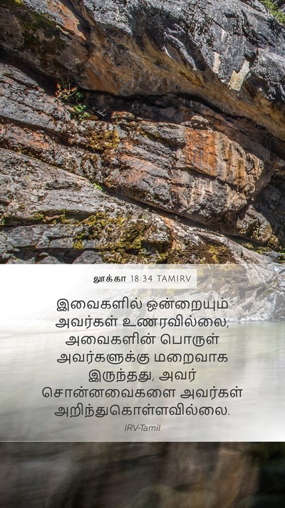 லூக்கா 18:34 TAMIRV Bible Verse Image