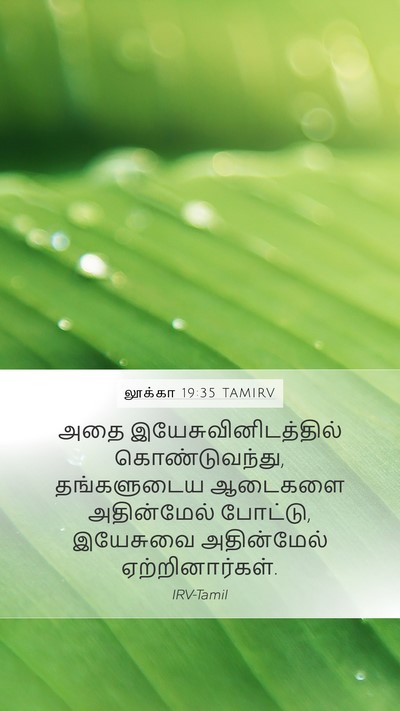 லூக்கா 19:35 TAMIRV Bible Verse Image