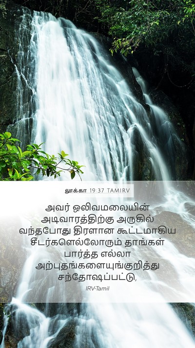 லூக்கா 19:37 TAMIRV Bible Verse Image
