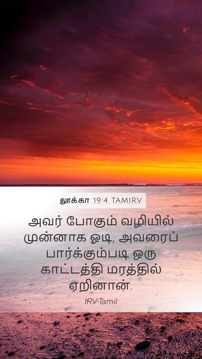 லூக்கா 19:4 TAMIRV Bible Verse Image