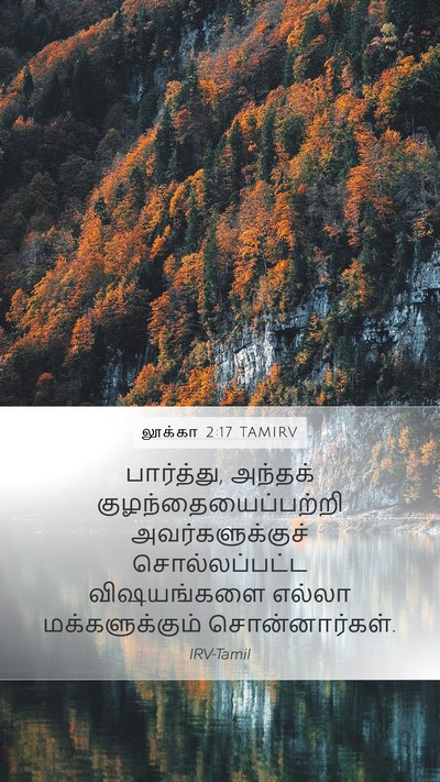 லூக்கா 2:17 TAMIRV Mobile Phone Wallpaper - பார்த்து, அந்தக் - Mobile Bible Verse Wallpaper