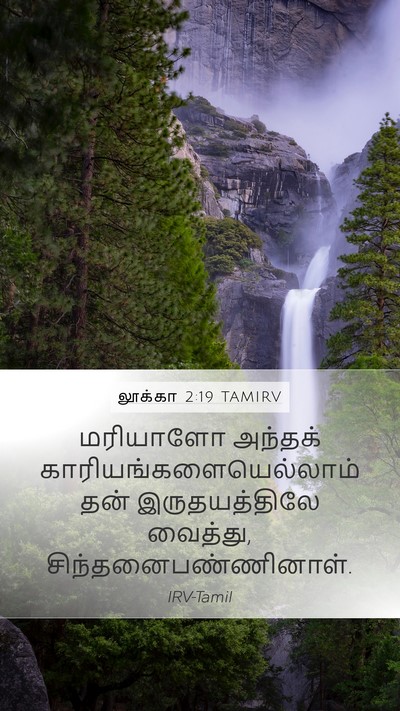 லூக்கா 2:19 TAMIRV Bible Verse Image