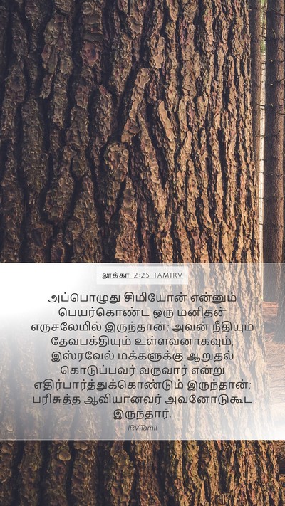 லூக்கா 2:25 TAMIRV Bible Verse Image