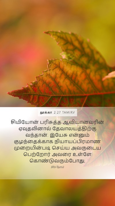லூக்கா 2:27 TAMIRV Mobile Phone Wallpaper - சிமியோன் பரிசுத்த - Mobile Bible Verse Wallpaper