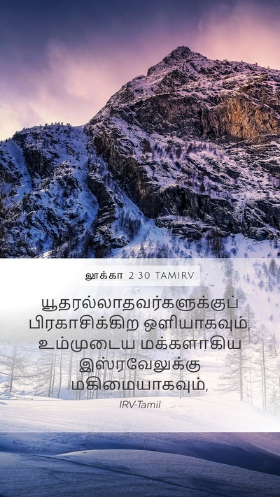 லூக்கா 2:30 TAMIRV Bible Verse Image